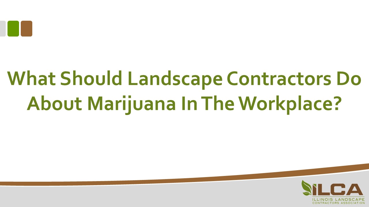 What Should Landscape Contractors Do About Marijuana In The Workplace?