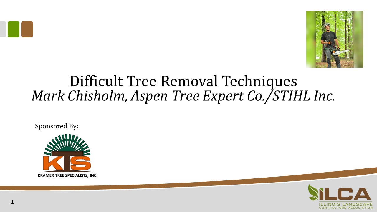 Difficult Tree Removal Techniques