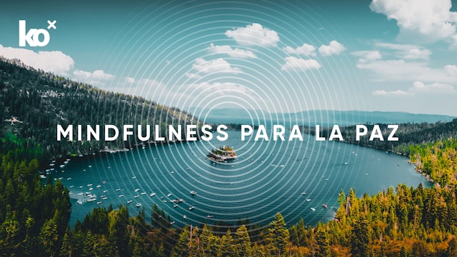 Día 8 | Confiando en el tiempo del universo | Isa Montes