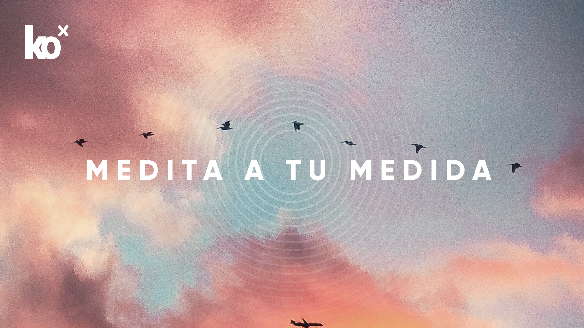 Medita a tu medida | 10 minutos Para agradecer con Ale Llosa 