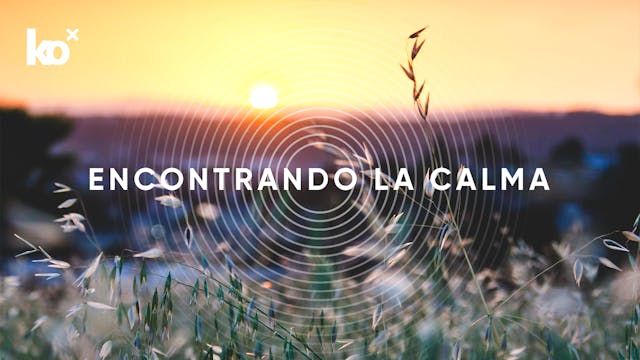 Encontrando la calma | Día 11: Body S...