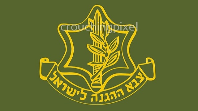 The IDF
