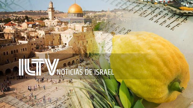 ILTV Noticias de Israel en Español Se...