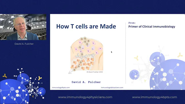 14_How T cells are made
