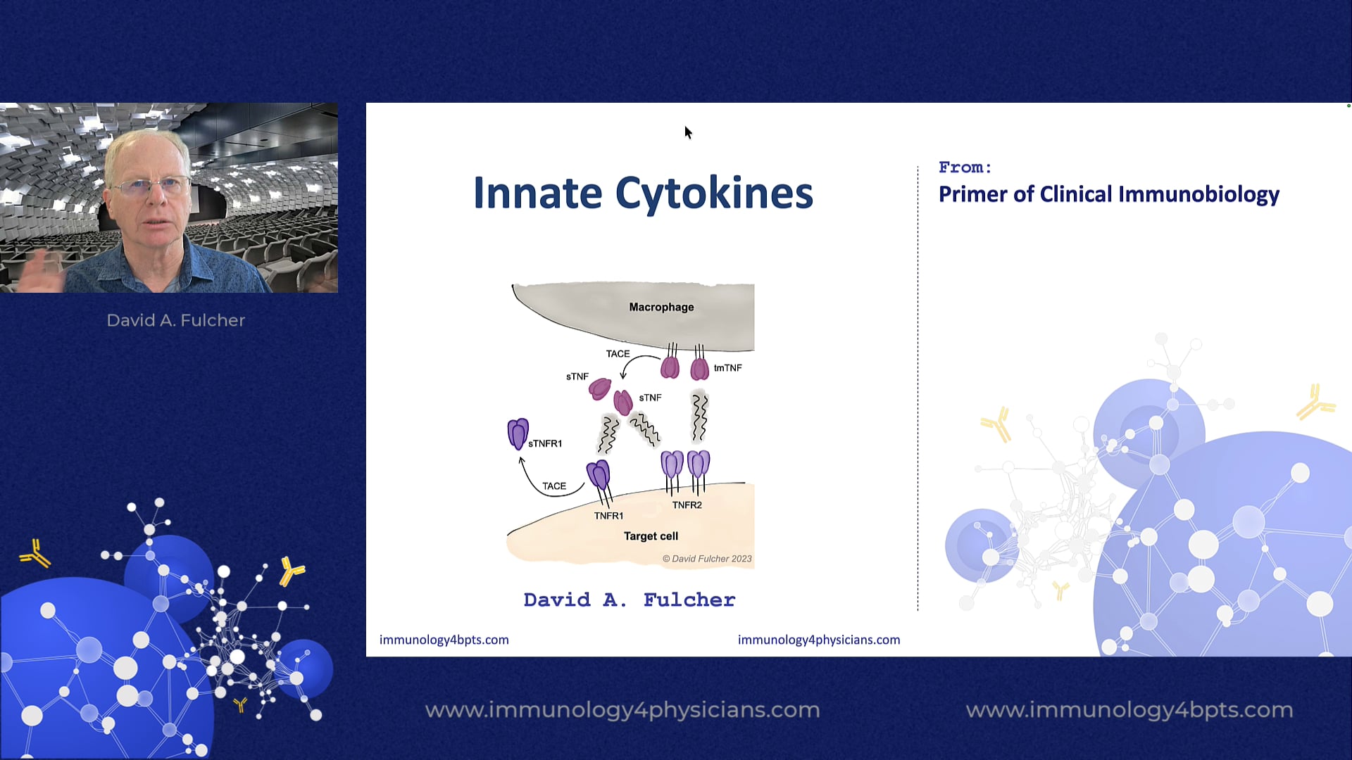 04_innate_cytokines