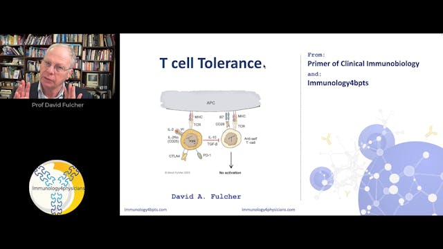 17_Tcell_tolerance-2024