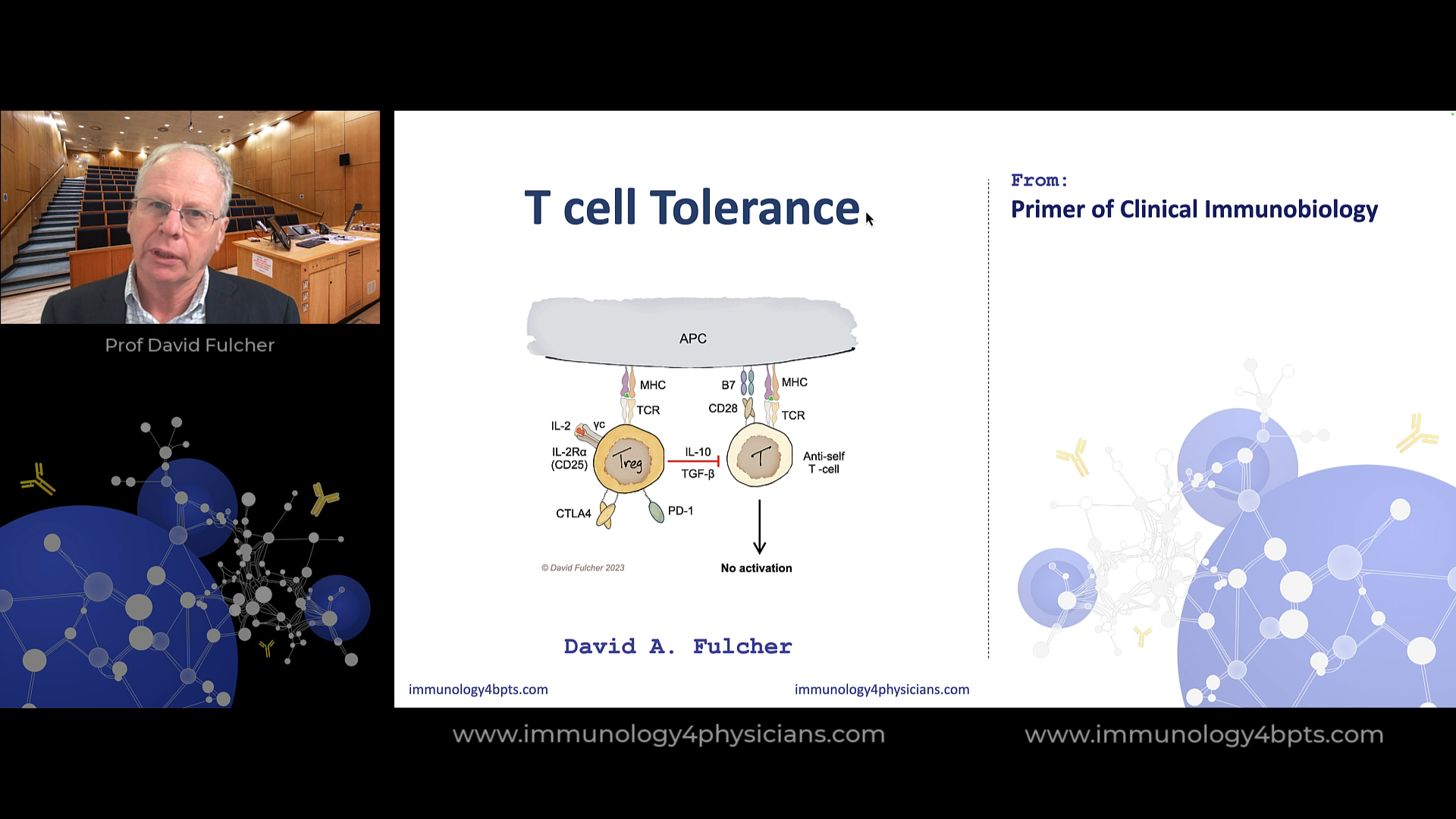 17_Tcell_tolerance-2025