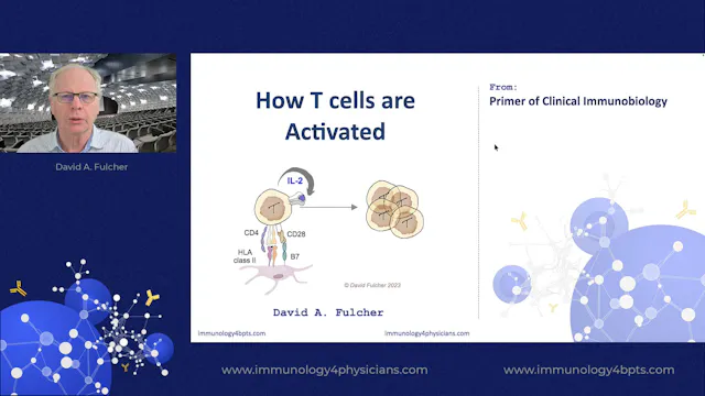 15_T-cell_activation