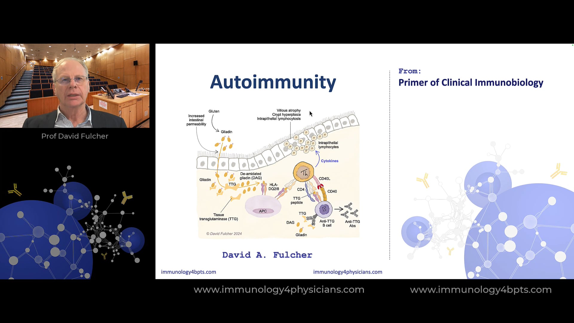 24_Autoimmunity