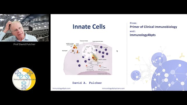 05_Innate_cells-2024