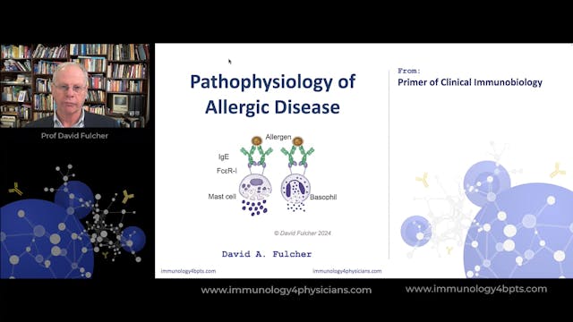 19_Th2_and_allergy