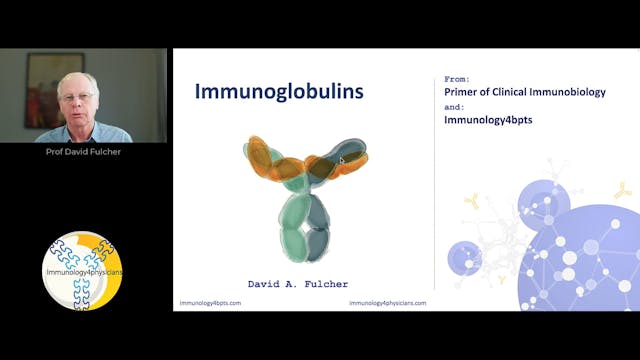 07_Immunoglobulins-2024