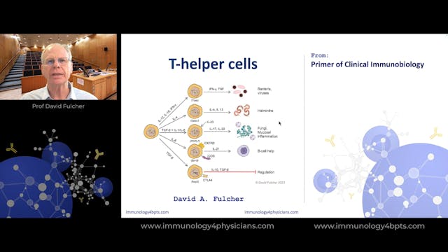 18_Th_cells