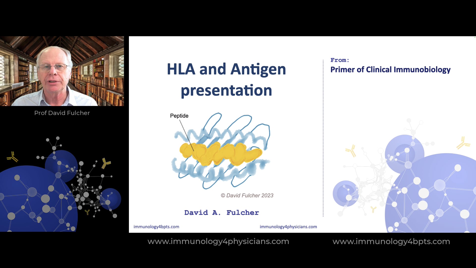13_HLA_Ag_presentation