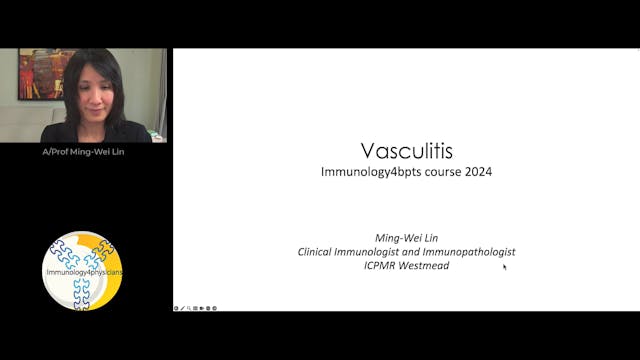 XT3_vasculitis-2024