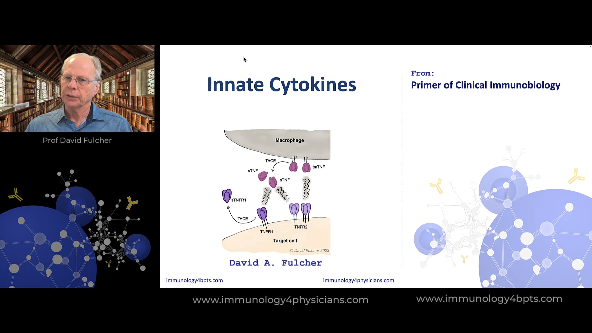 04_Innate_cytokines