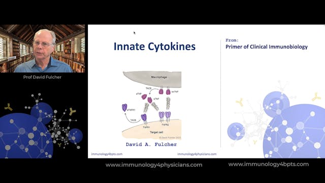 04_Innate_cytokines