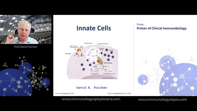 05_Innate_cells