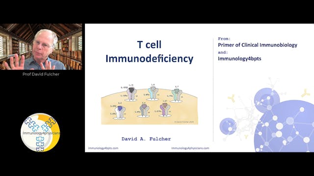 16_Tcell_immunodeficiency-2024