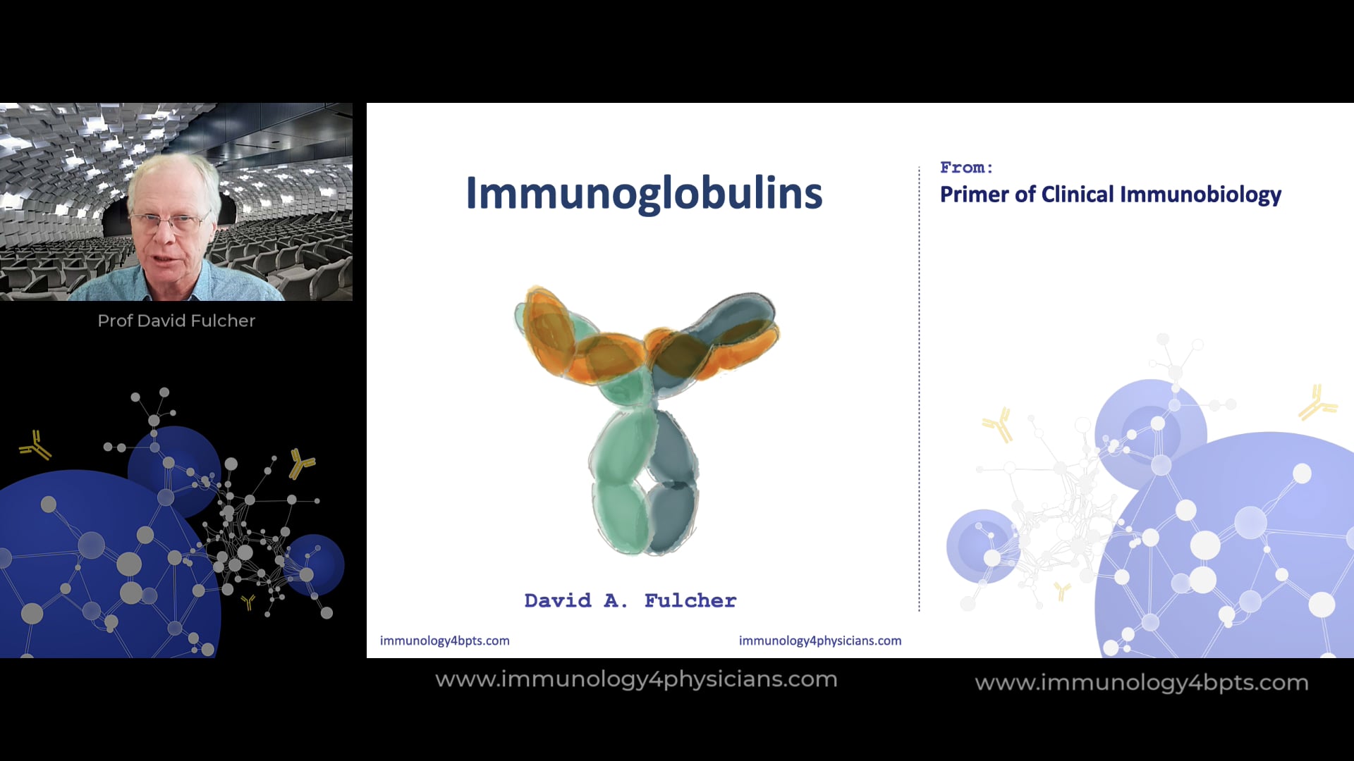 07_Immunoglobulins