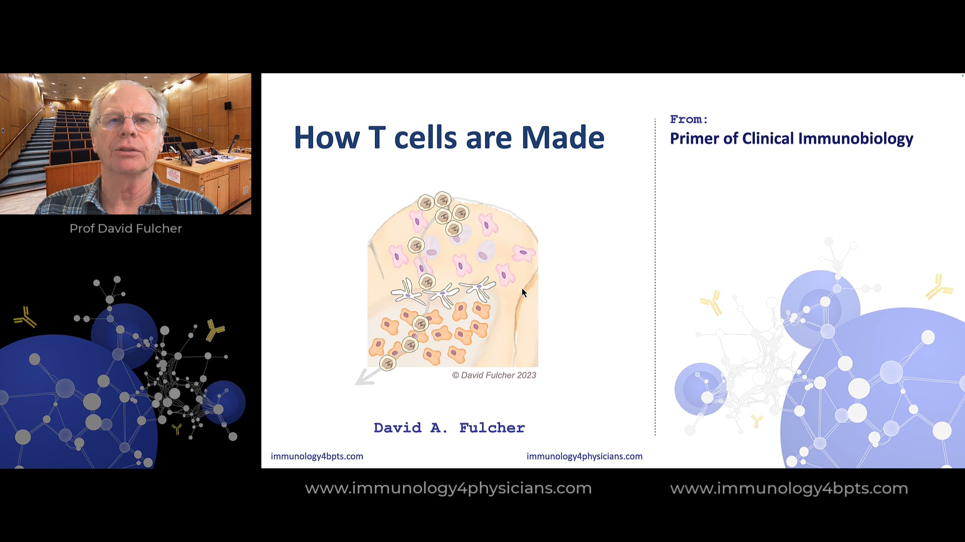 14_How T cells are made