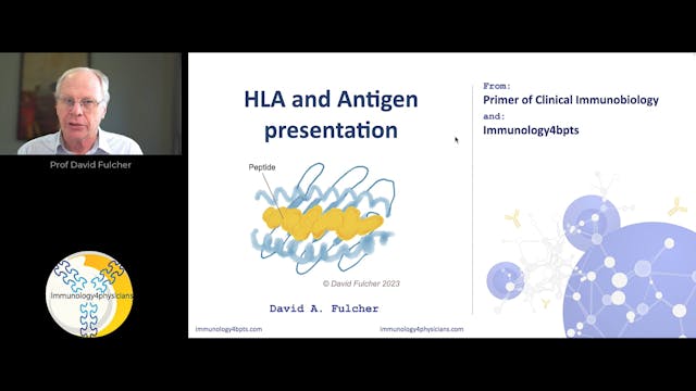 13_HLA_Ag_presentation-2024