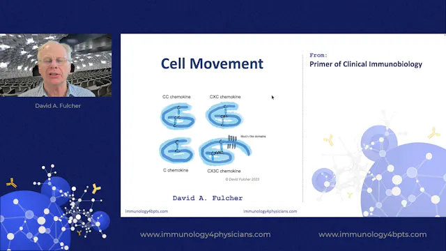 06_Cell movt