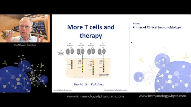 22_MoreTcells