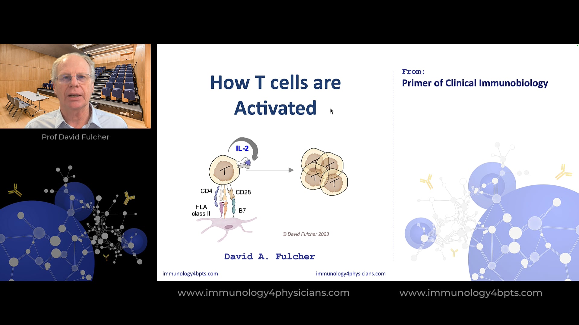 15_Tcell_activation-2025
