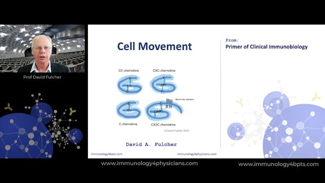 06_Cell_movt