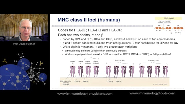 23_HLA_in_practice
