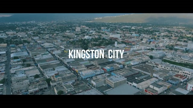 KINGSTON CITY - WASP