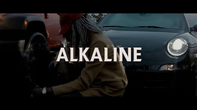 CHAMPION BOY - ALKALINE