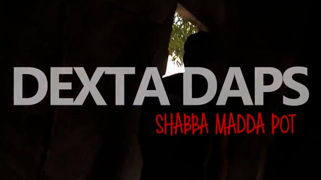 SHABBA MADDA POT - DEXTA DAPS