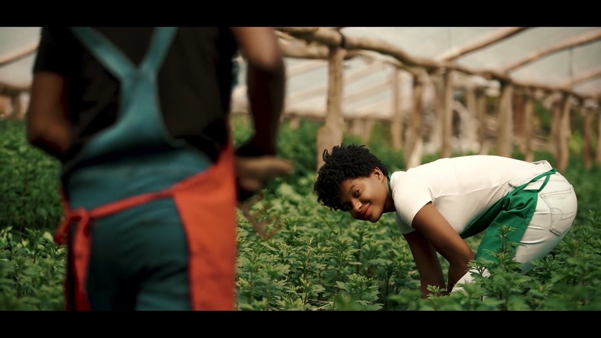 SE PASKE M RENMEN W' - TROUBLEBOY HITMAKER