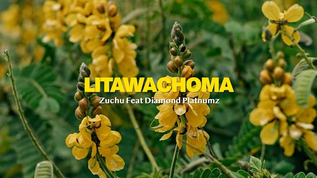 LITAWACHOMA - ZUCHU Feat DIAMOND PLAT...