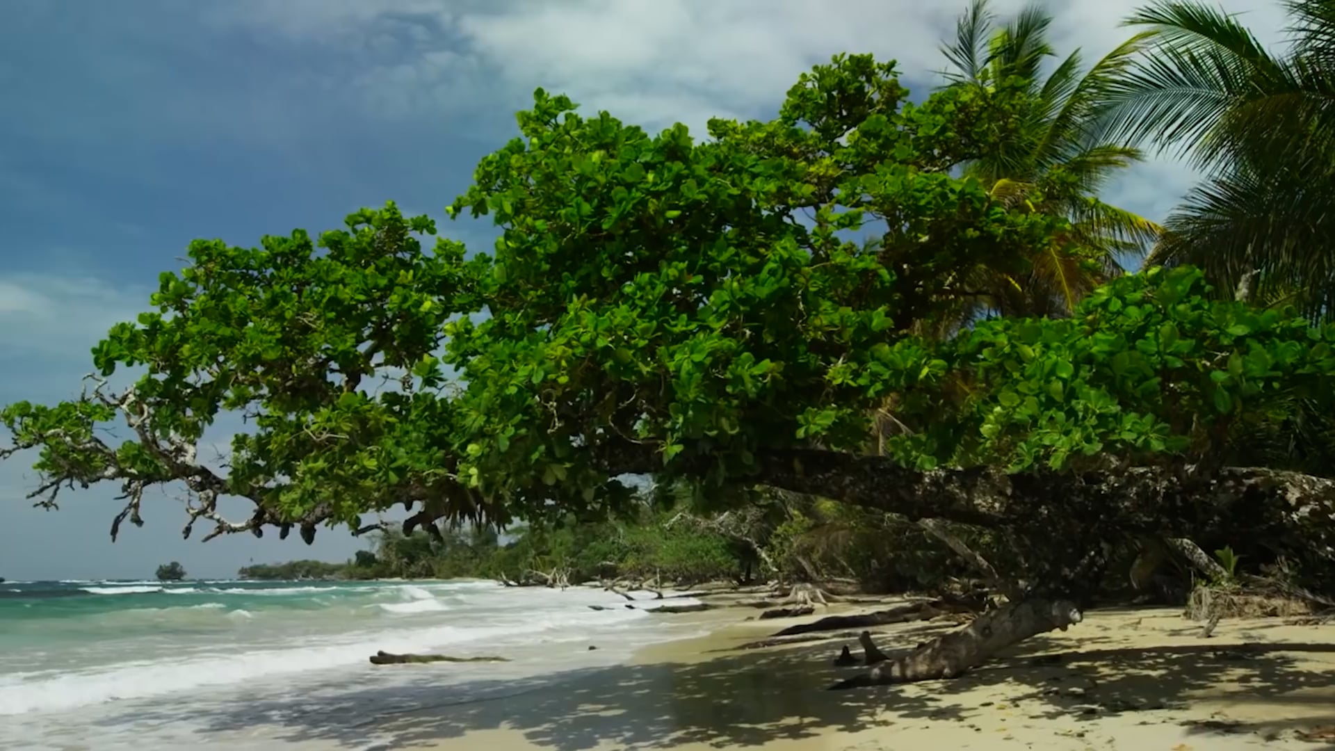 WINNING RIGHT NOW - AGENT SASCO