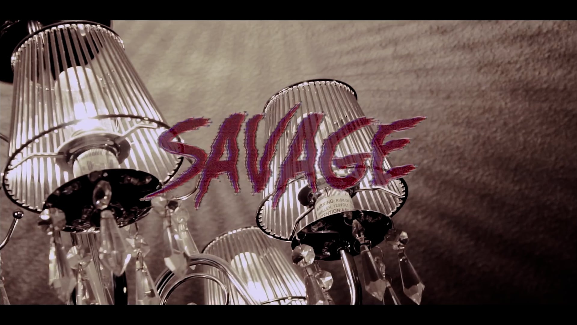 WE DEM CAN'T STOP - SAVAGE SAVO