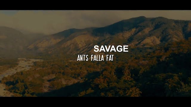 ANTS FALLA FAT - SAVAGE SAVO