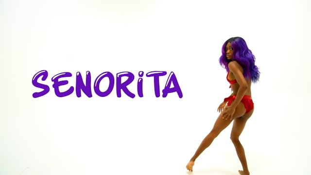 SENORITA - MAESTRO DON Feat D'YANI