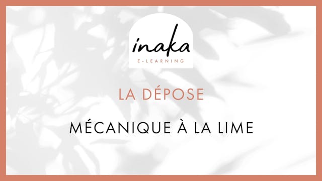 E.learning VSP : dépose mécanique à la lime
