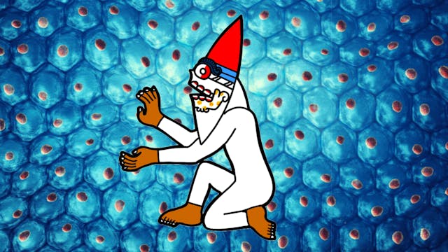 Begginers Tonalpohualli Session 25 Te...