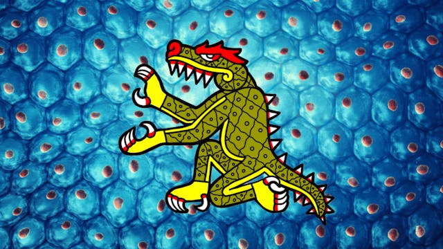 Beginners Tonalpohualli Session 2