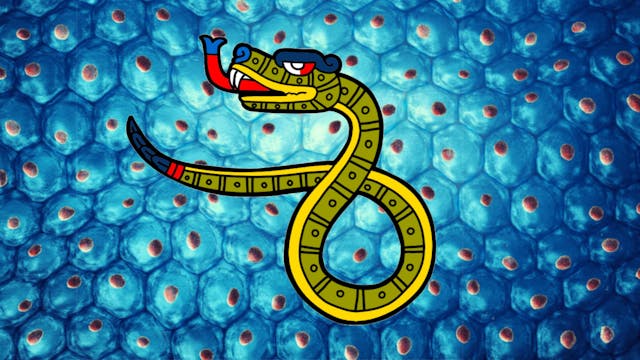 Beginners Tonalpohualli Session 6 Koa...