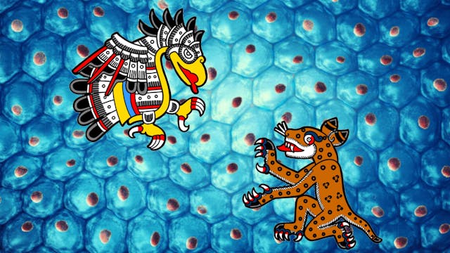 Begginers Tonalpohualli Session 22 Ozelotl Kuauhtli Pt 4