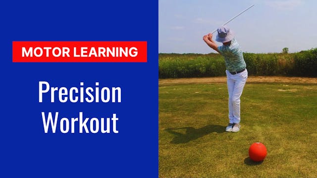 Motor Learning Workout: Precision