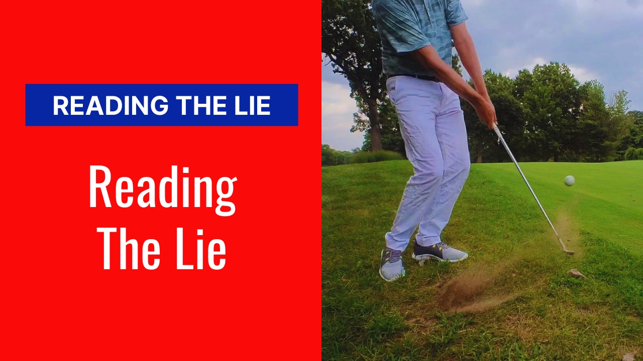 READING THE LIE