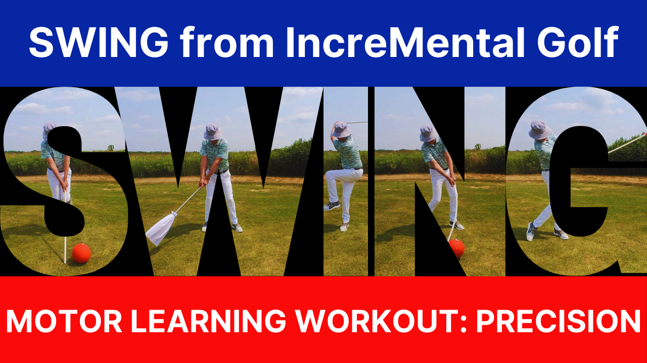 MOTOR LEARNING WORKOUT: PRECISION