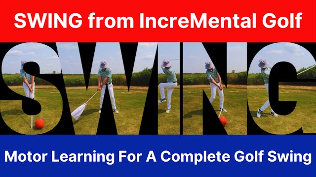 SWING from IncreMental Golf