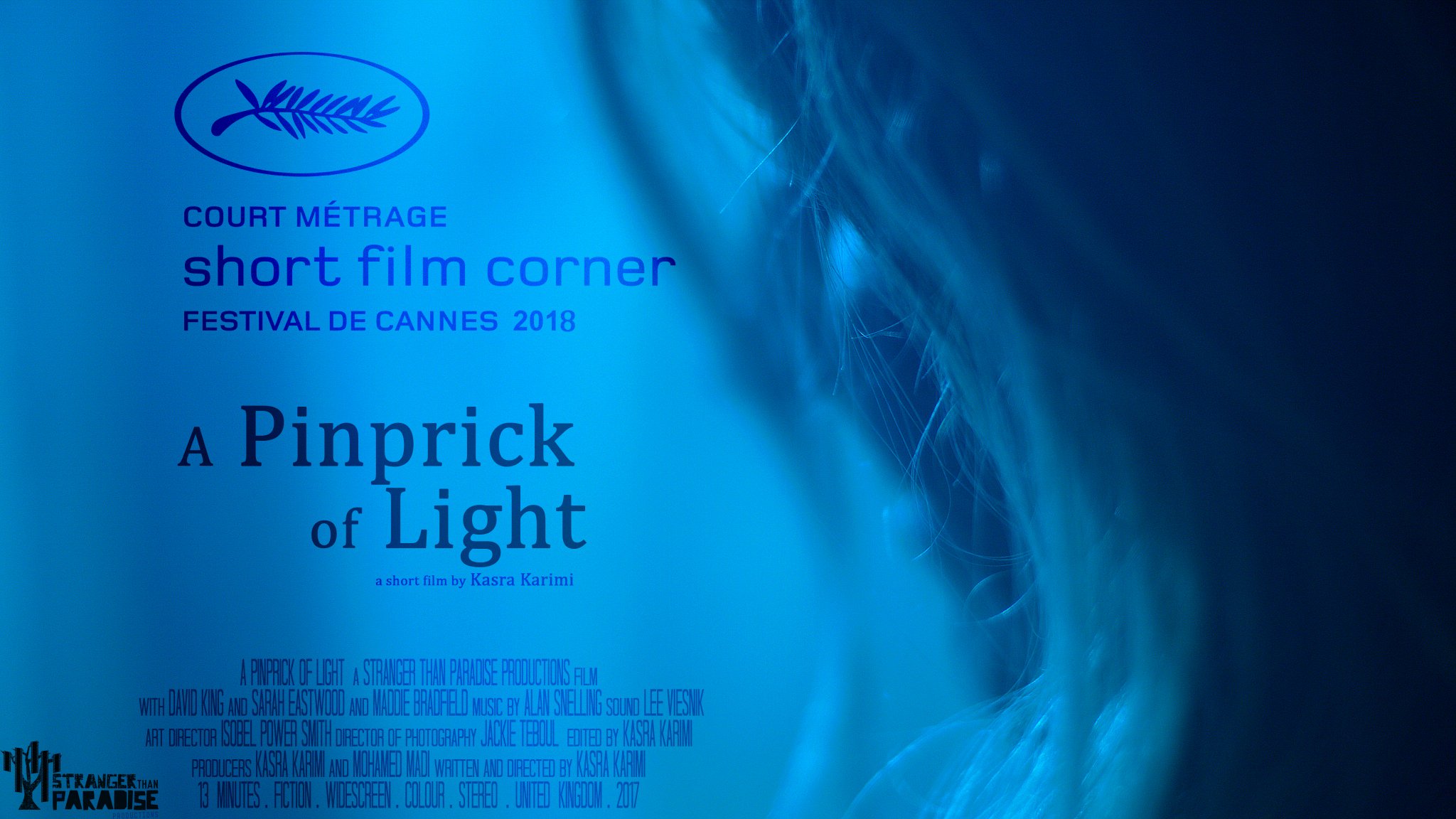 Short Films - Festival Gems